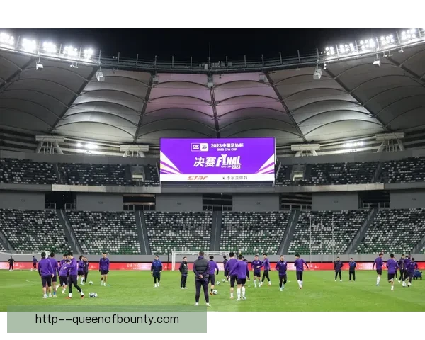 上海申花勇夺足协杯冠军书写申城足球荣耀新篇章球迷欢庆之夜今宵